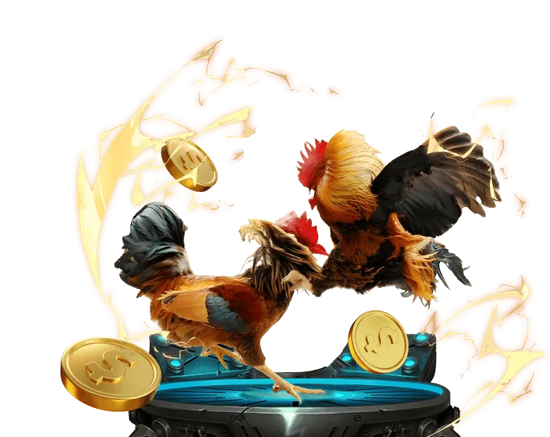 Cam kết của w88hanoi